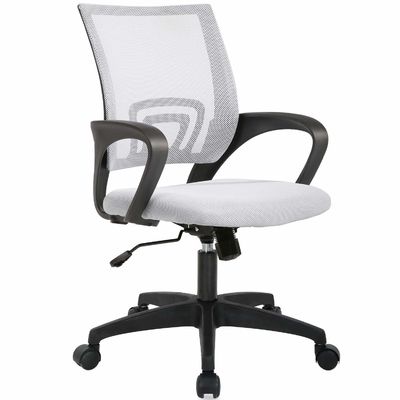 ALINUNU White Mesh Executive Chair with Lumbar Support and Butterfly Mechanism