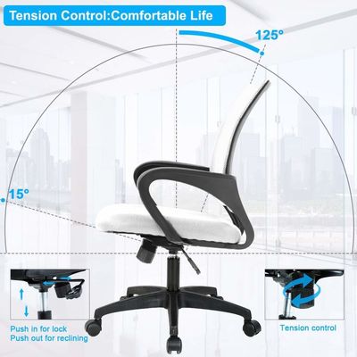 ALINUNU White Mesh Executive Chair with Lumbar Support and Butterfly Mechanism