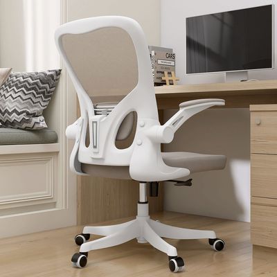 Home Office Desk and Chair Mesh Back Office Chair with Lumbar Support Adjustable Height