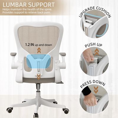 Home Office Desk and Chair Mesh Back Office Chair with Lumbar Support Adjustable Height