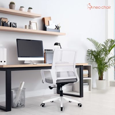 Executive Office Chair Mesh Chair with Lumbar Support and Adjustable Height Armrest