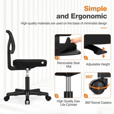 Low-Back Ergonomic Home Office Desk and Chair with Lumbar Pillow in Customized Color