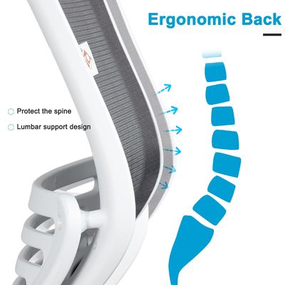 360 Swivel Ergonomic Mesh Computer Chair with Height Adjust and Waist Support Function