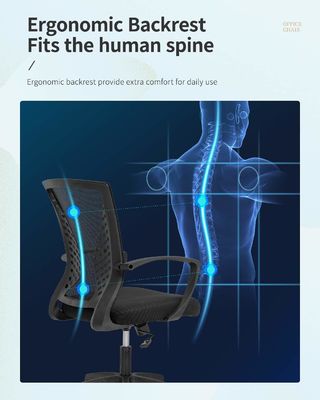 Direct Gas Lift Office Chair with Waist Support Function and Maximum Weight of 300 Pounds