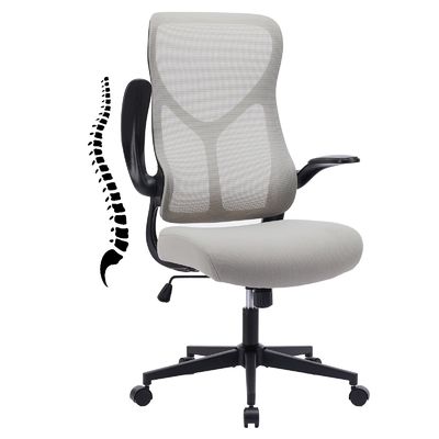High Back Mesh Chair with Flip-up Armrests and Lumbar Support Mail Packing Included