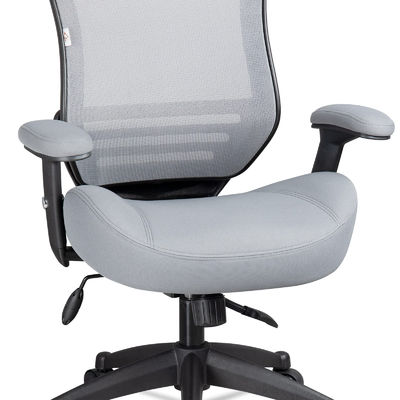 Ergonomic Office Computer Desk Chair with Height Adjusting Arm and Waist Support Grey