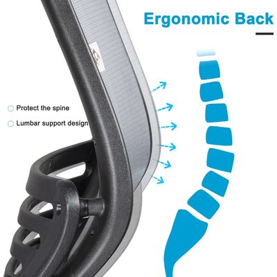 Ergonomic Office Computer Desk Chair with Height Adjusting Arm and Waist Support Grey
