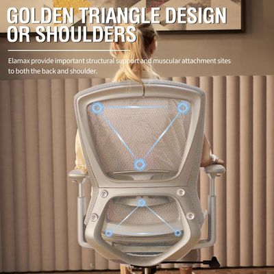 Adjustable Lumbar Support Armrests Mesh Office Chair Sturdy Task Chair with Solid Back