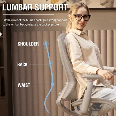 Adjustable Lumbar Support Armrests Mesh Office Chair Sturdy Task Chair with Solid Back