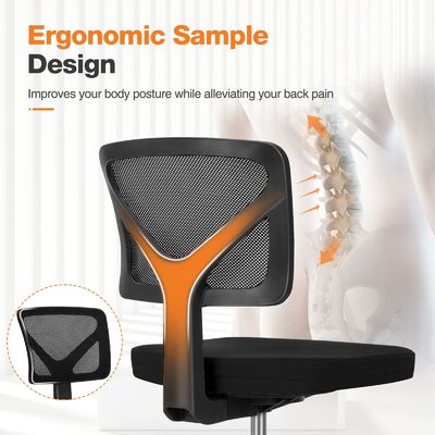 Comfortable Low-Back Mesh Chair with Lumbar Support and Adjustable Seat Height