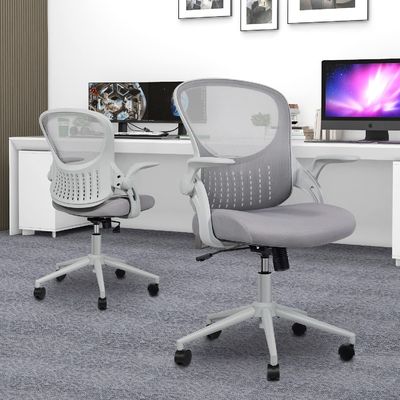 Mail packing Y Ergonomic Mesh Computer Desk Chair with Lumbar Support and Flip-up Arms