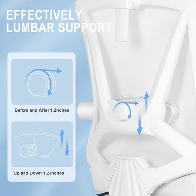 Executive High Back Office Chair with 360 Swivel and Adjustable 2D Lumbar Support