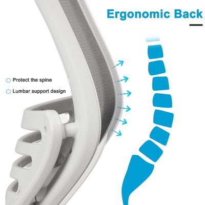 Ergonomic Office Chair with Height Adjustment 25.4&quot;D x 28.1&quot;W x 37&quot;H in Mail Packing