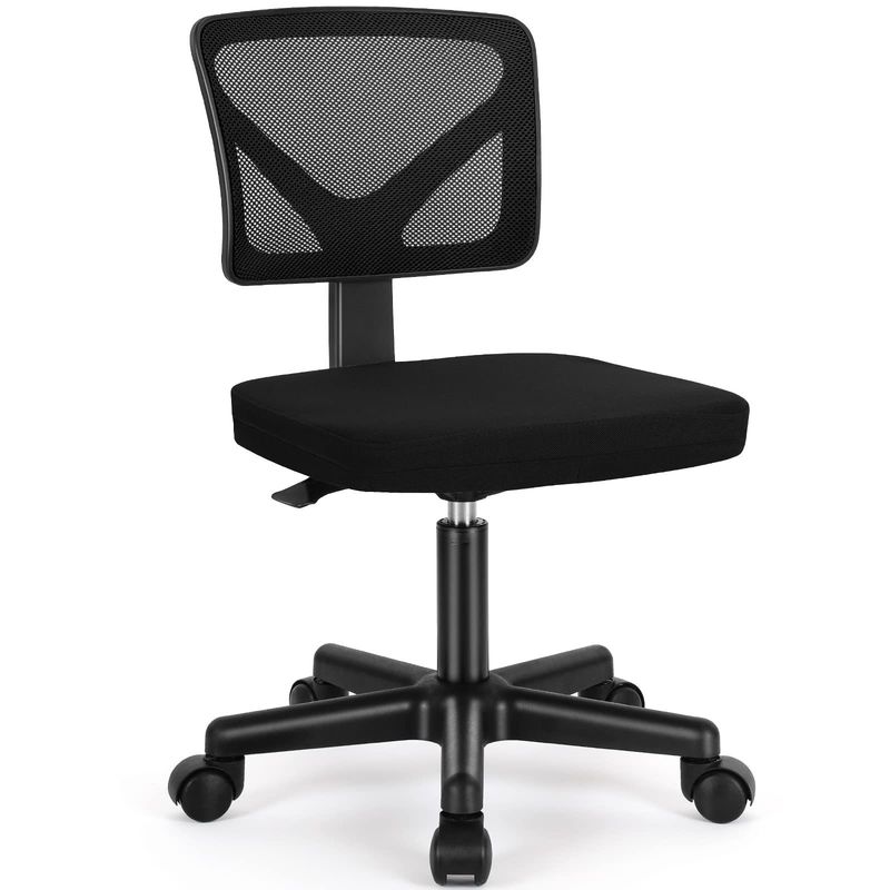 Low-Back Ergonomic Home Office Desk and Chair with Lumbar Pillow in Customized Color