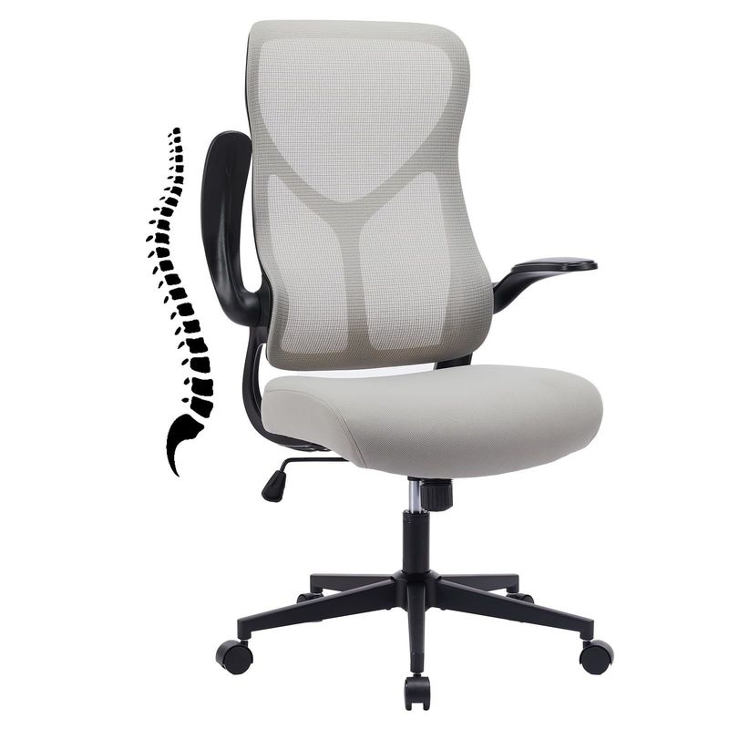 High Back Mesh Chair with Flip-up Armrests and Lumbar Support Mail Packing Included