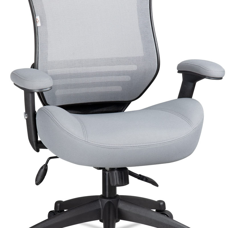 Ergonomic Office Computer Desk Chair with Height Adjusting Arm and Waist Support Grey